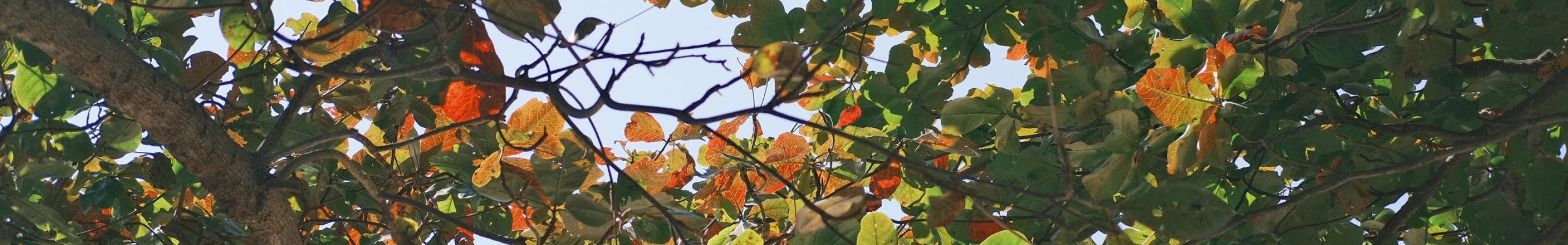 pexels-tizzy-30027152